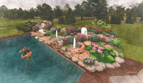 piscine naturelle en 3D