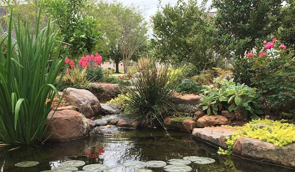 bassin de jardin