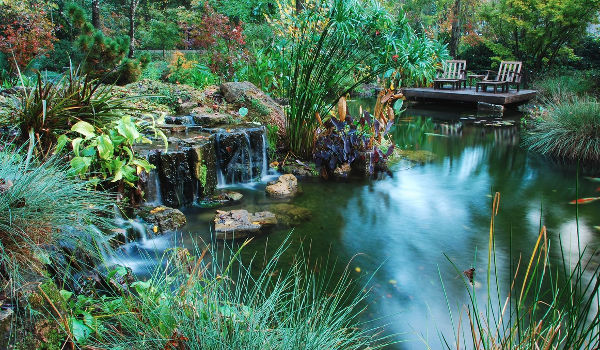 cascade bassin naturel
