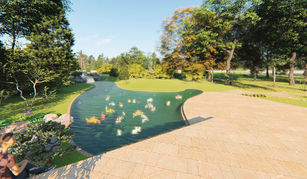bassin de jardin en 3D