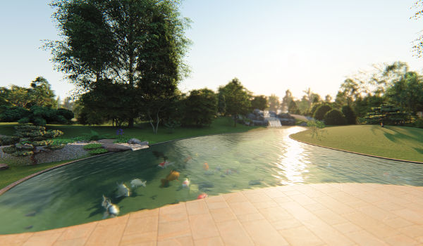 bassin de jardin en 3D