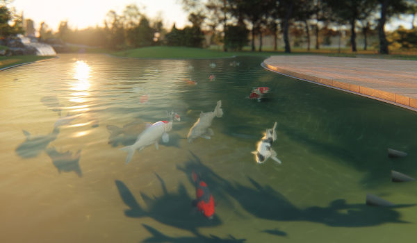 bassin de jardin en 3D