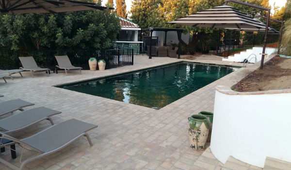 Piscine naturelle contemporaine sans jardin d'eau
