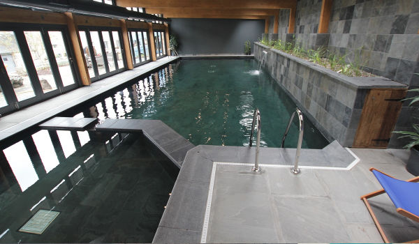 Piscine naturelle intérieure