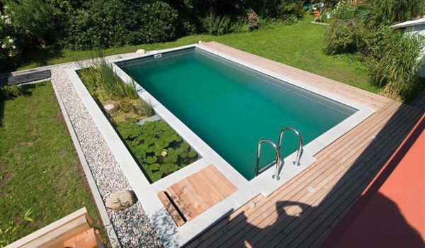 Transformation de piscine en naturelle avec ajout de jardin d'eau